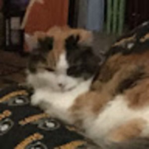 Meet your Posher, Dylan